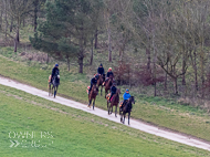 AK310322-79 - Alan King Stable Visit